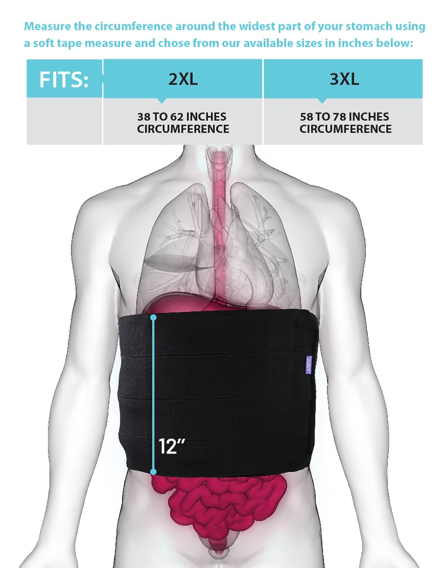 Plus Size Abdominal Binder-Everyday Medical