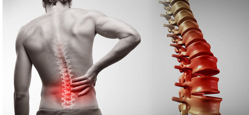 Lower Back Pain